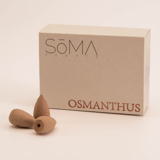 osmanthus backflow incense cones in an eco-friendly box