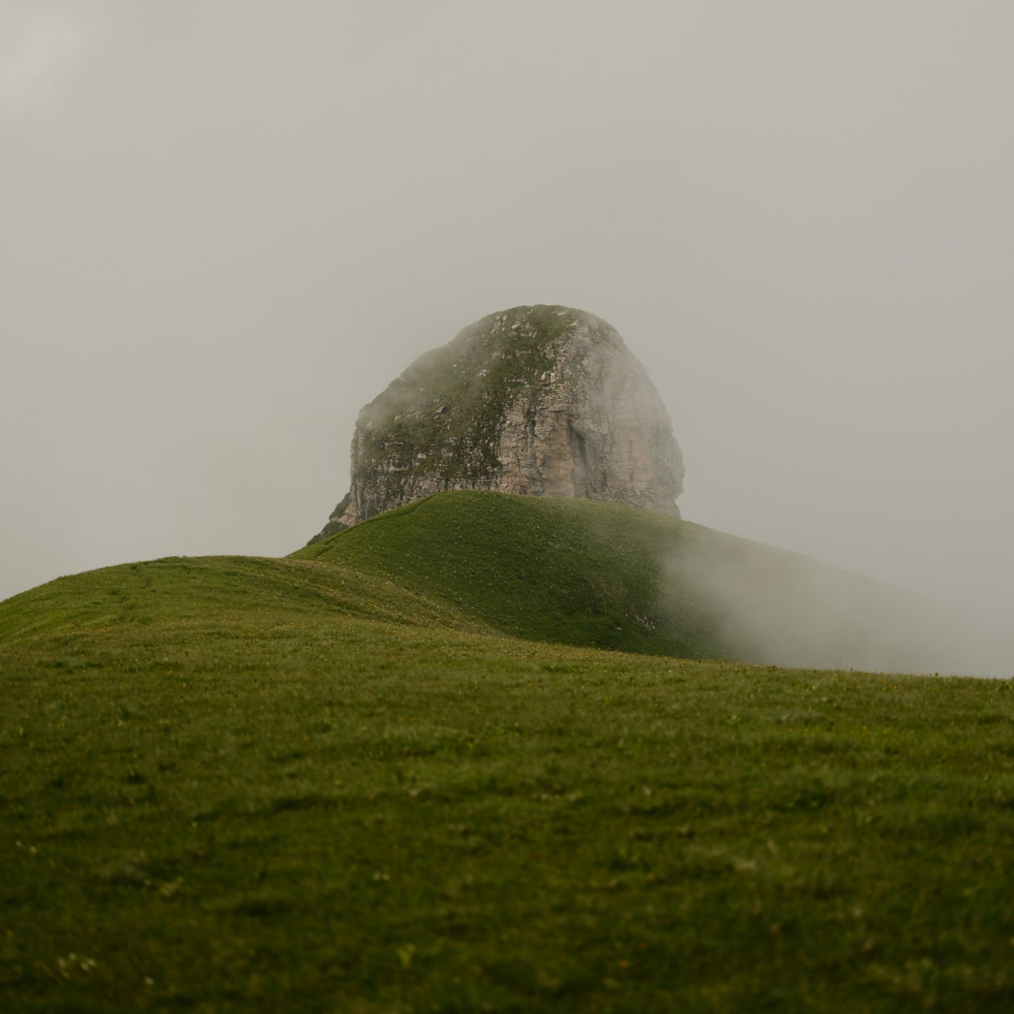 Fog rolls over a grassy hill with a rocky summit