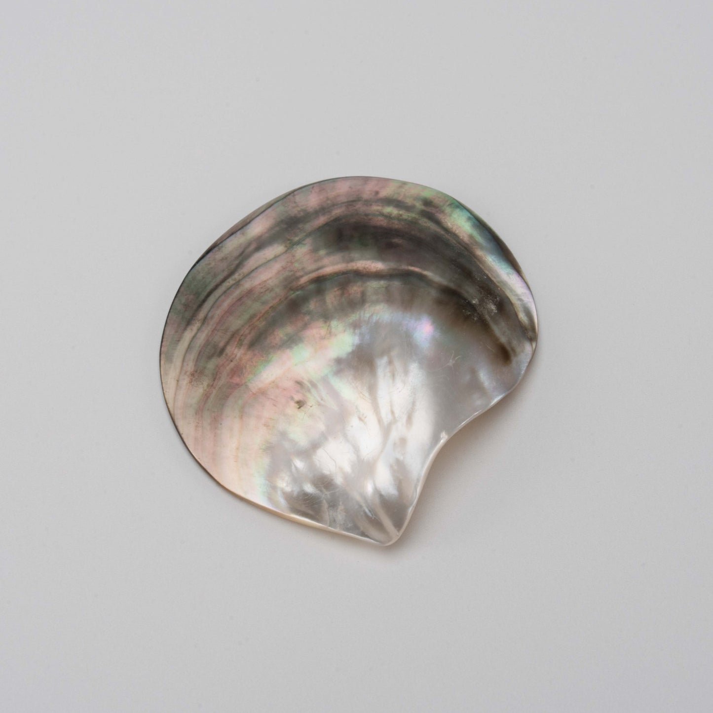 Close-up of a natural shell incense cone stand showing its pearlescent surface with hints of pink, green, and cream tones.