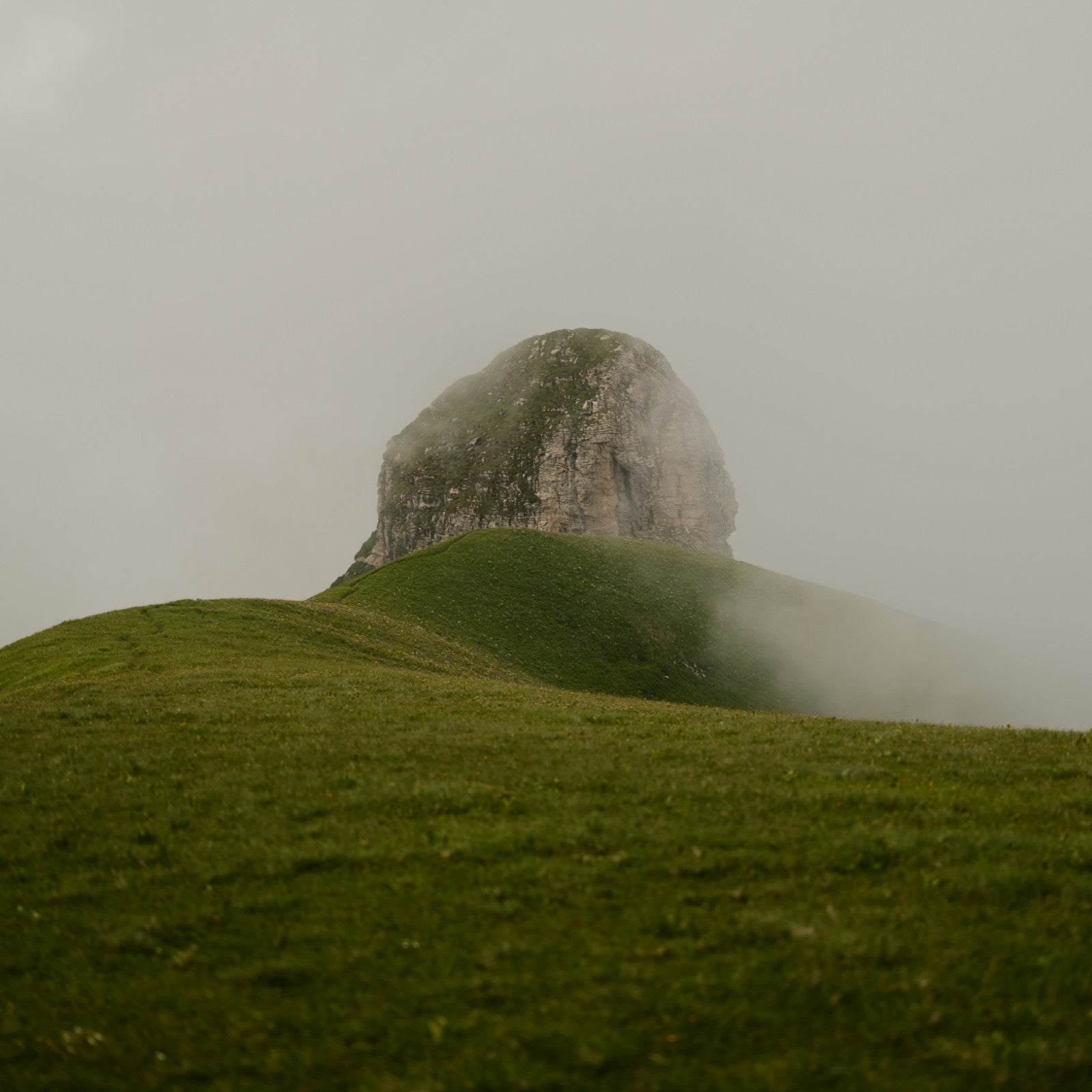 Fog rolls over a grassy hill with a rocky summit