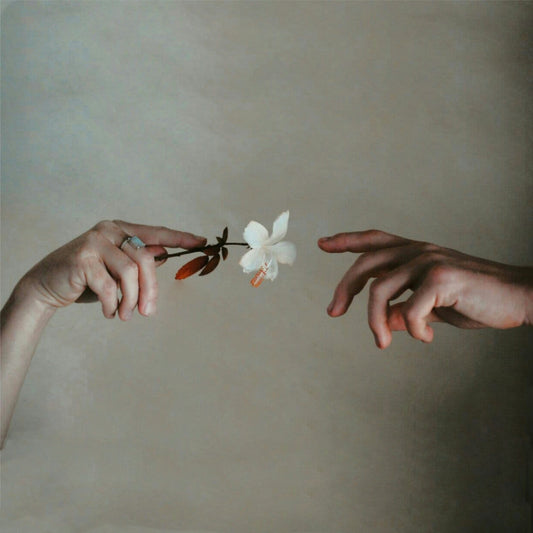 Two hands delicately exchange a white flower against a soft neutral background.
