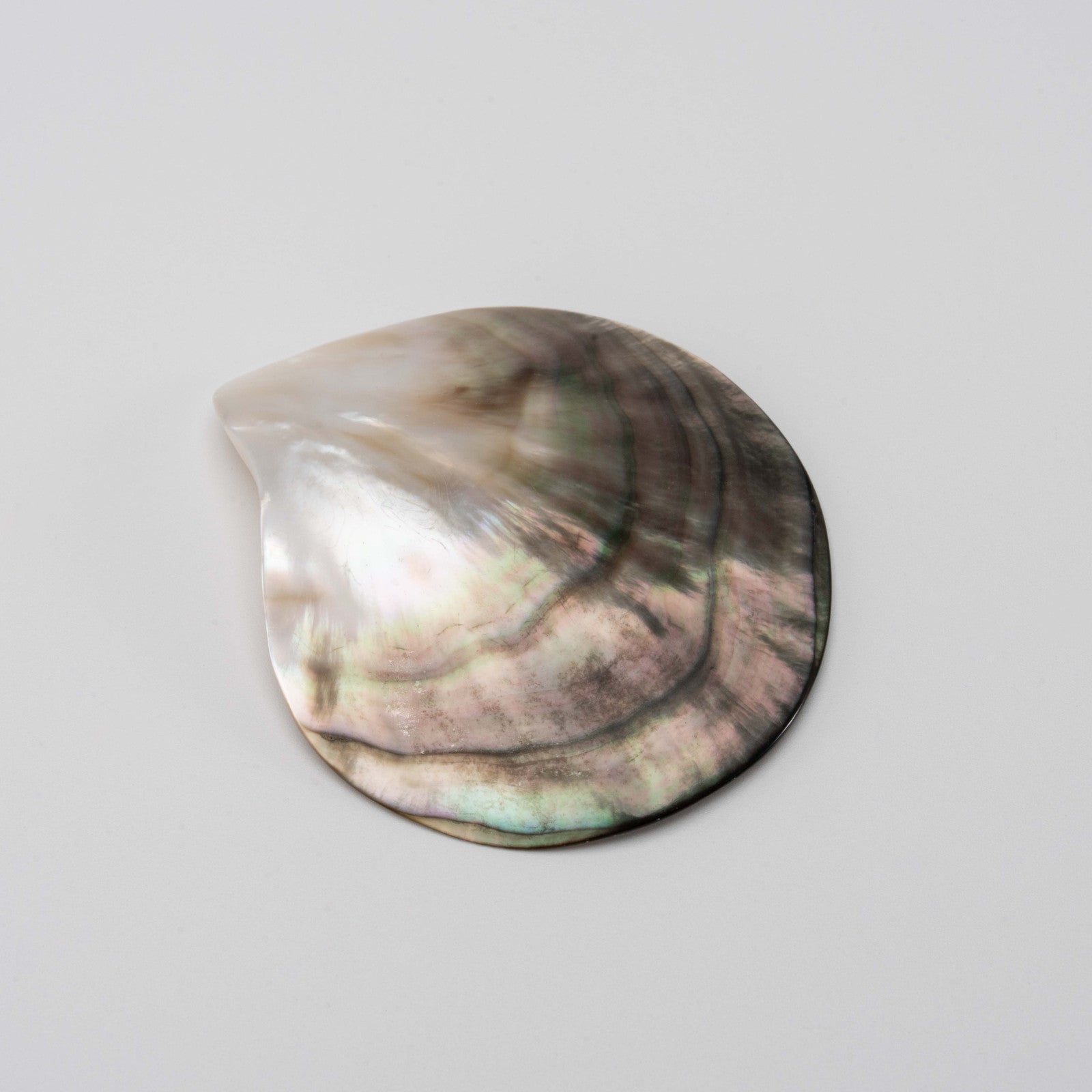 Close-up of a natural shell incense cone stand showing its pearlescent surface with hints of pink, green, and cream tones.