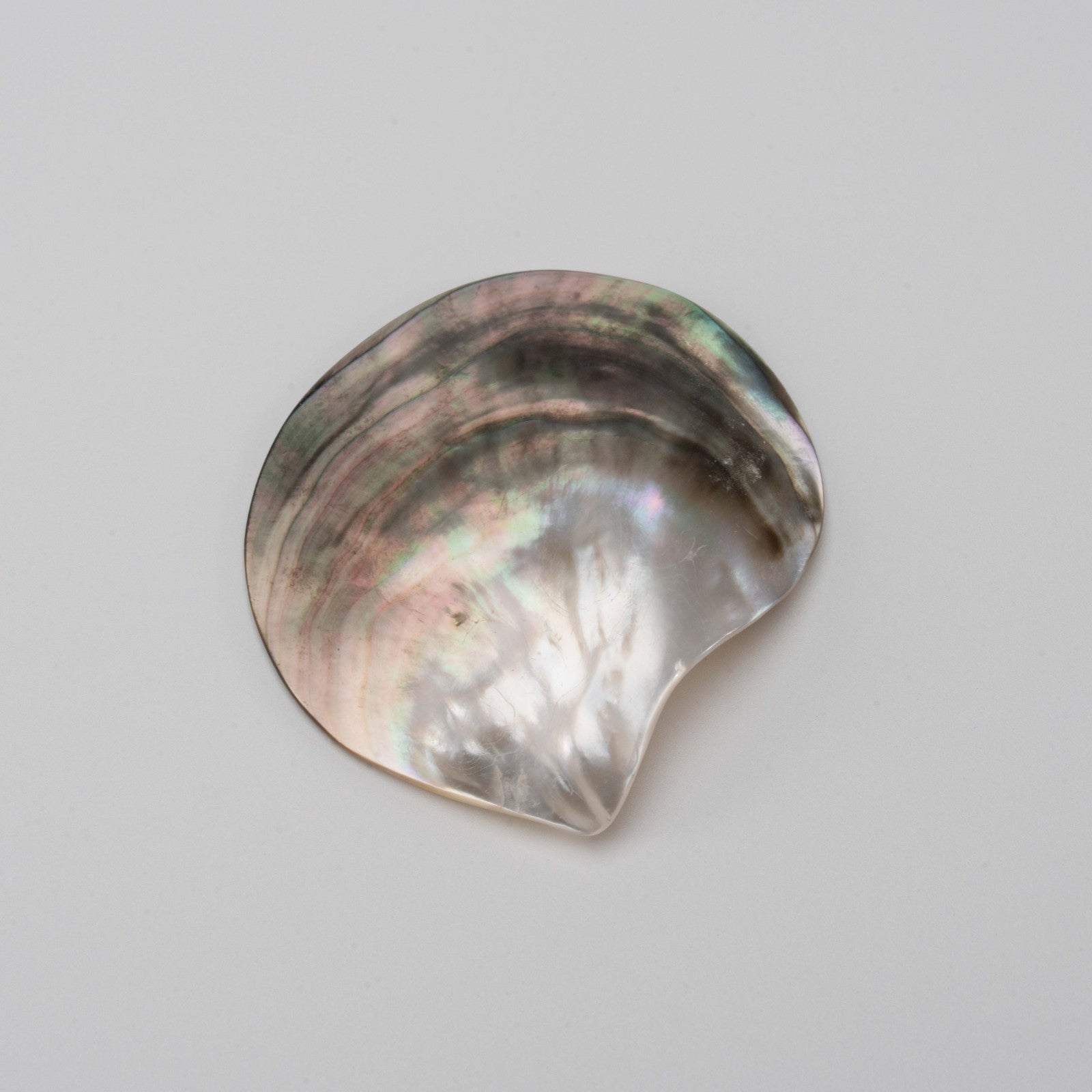 Close-up of a natural shell incense cone stand showing its pearlescent surface with hints of pink, green, and cream tones.